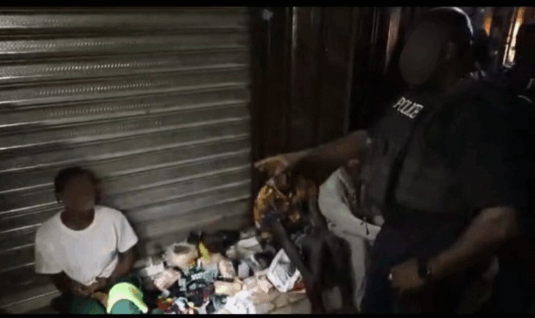 12 arrested as police destroys dens