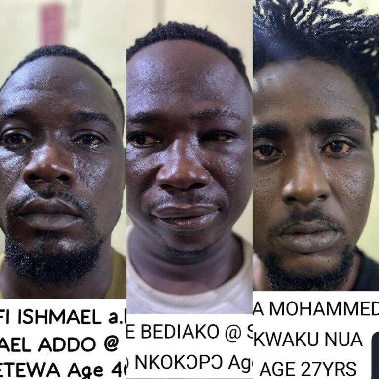 Police arrest seven notorious highway robbers